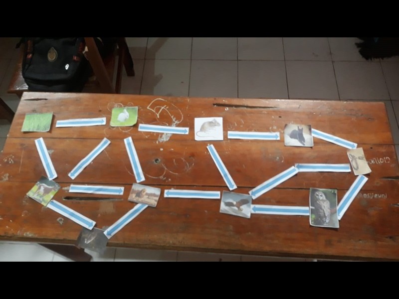 Foto Kegiatan 17